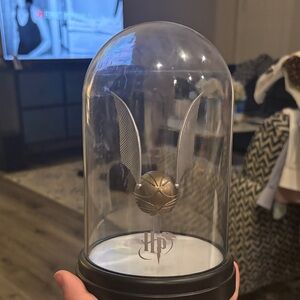 Harry Potter Golden Snitch Display